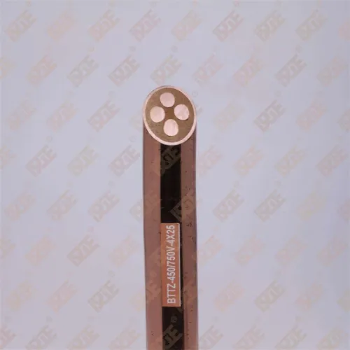 Rigid Fireproof Cable BTTZ